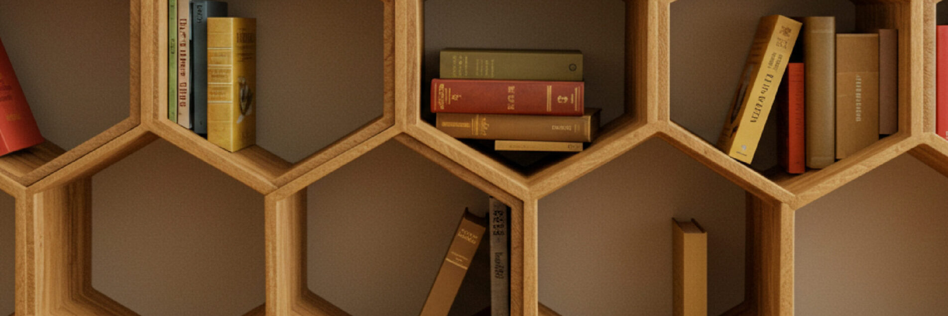 Image Slider